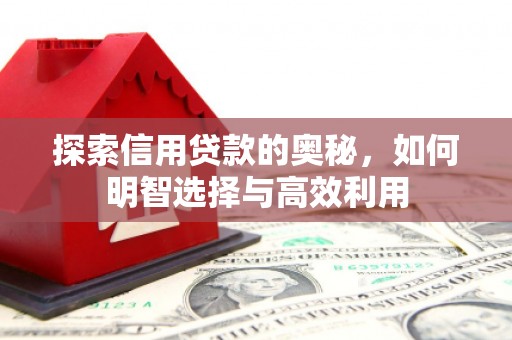 达茂旗探索信用贷款的奥秘，如何明智选择与高效利用