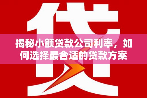 利川揭秘小额贷款公司利率，如何选择最合适的贷款方案