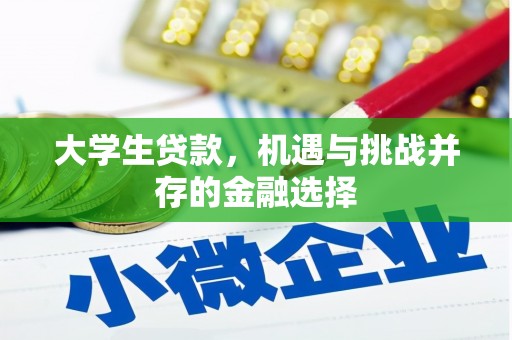 界首大学生贷款，机遇与挑战并存的金融选择