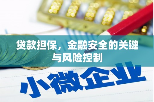 柞水贷款担保，金融安全的关键与风险控制