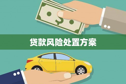 学甲贷款风险处置方案