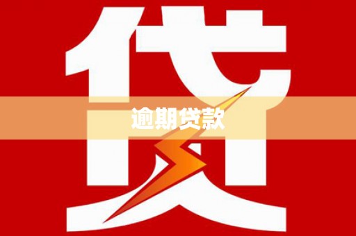 善化逾期贷款