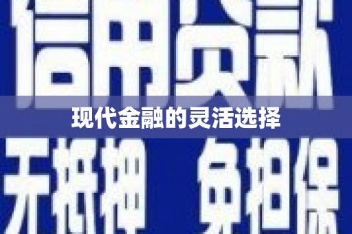 江永现代金融的灵活选择