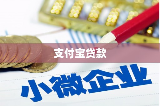 海原支付宝贷款