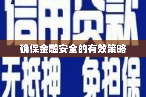 米东确保金融安全的有效策略