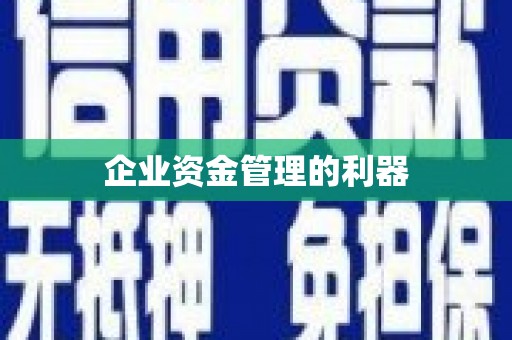 双城企业资金管理的利器