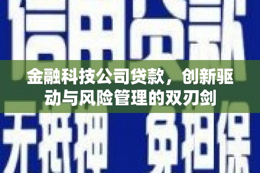 红星金融科技公司贷款，创新驱动与风险管理的双刃剑